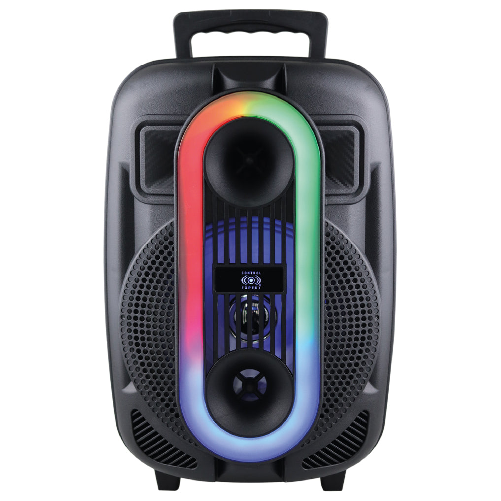Bocina Amplificada De 8 Pulgadas Tws Usb Radio Fm 20w
