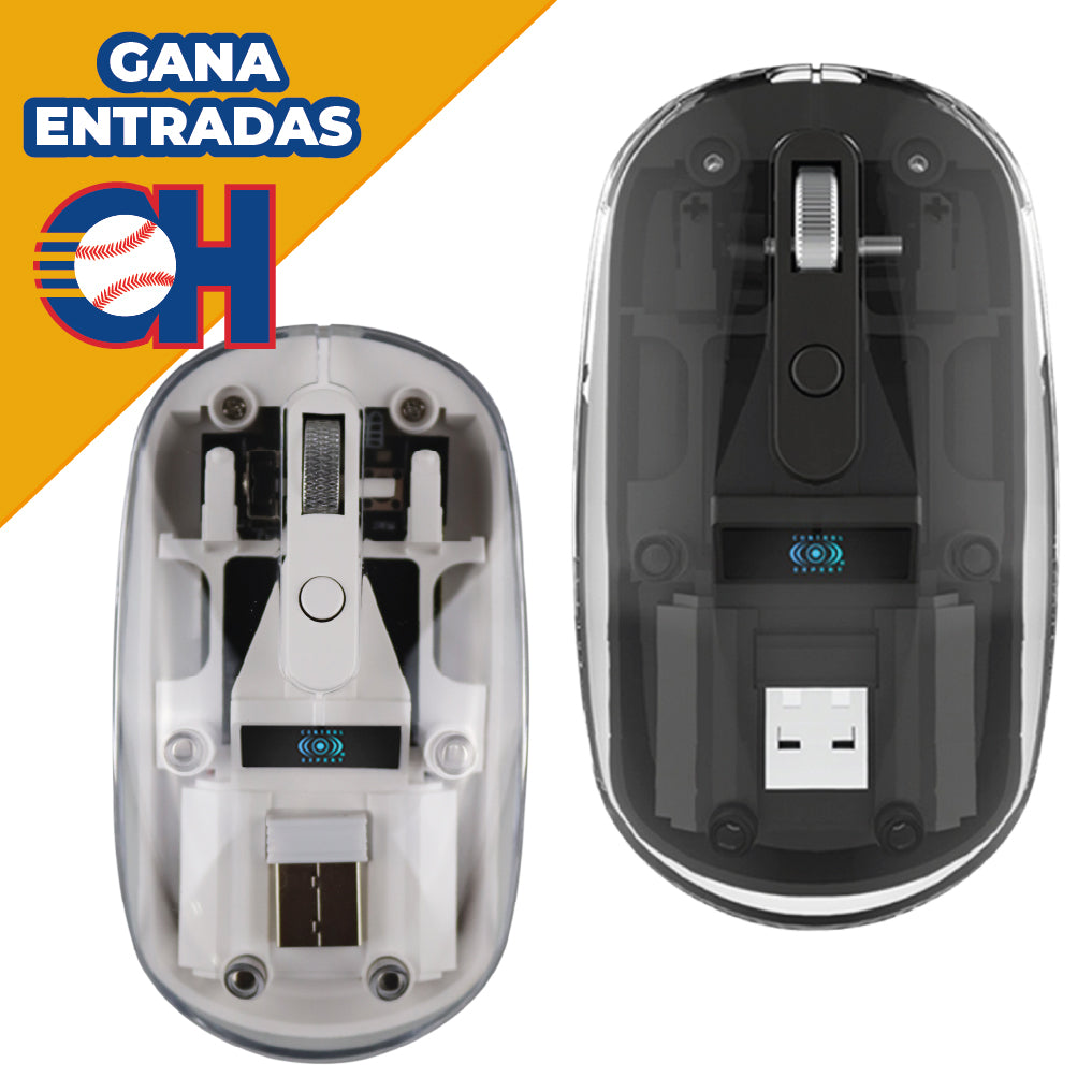 Mouse Inalámbrico Recargable con Receptor USB