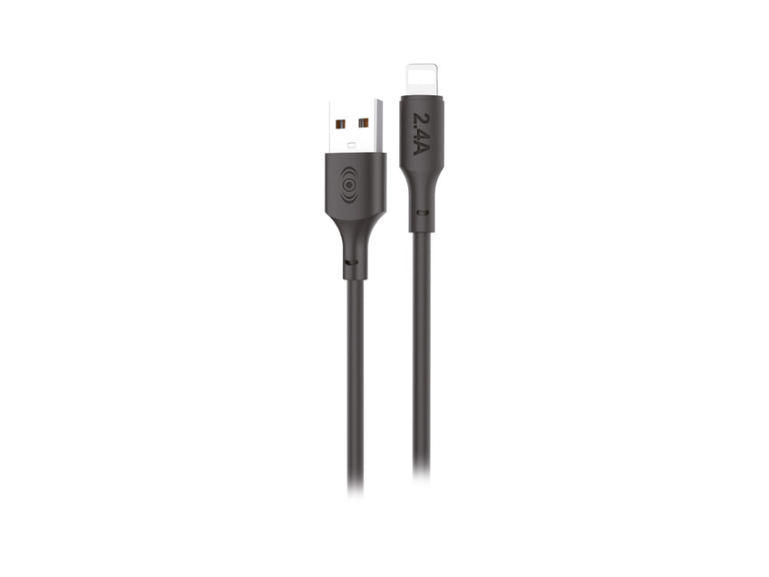 Cable USB a iPhone Negro