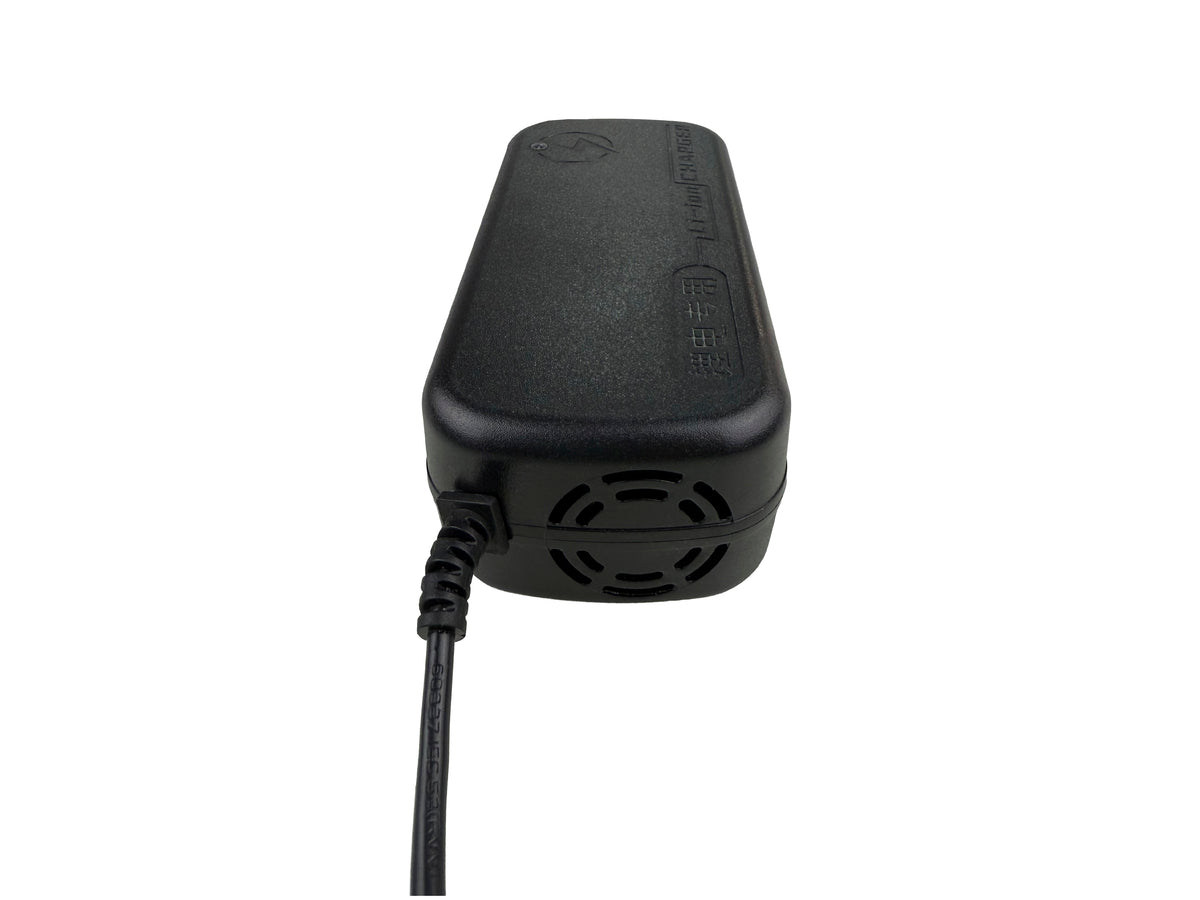 Cargador para Moto Eléctrica 48V 2A 124W