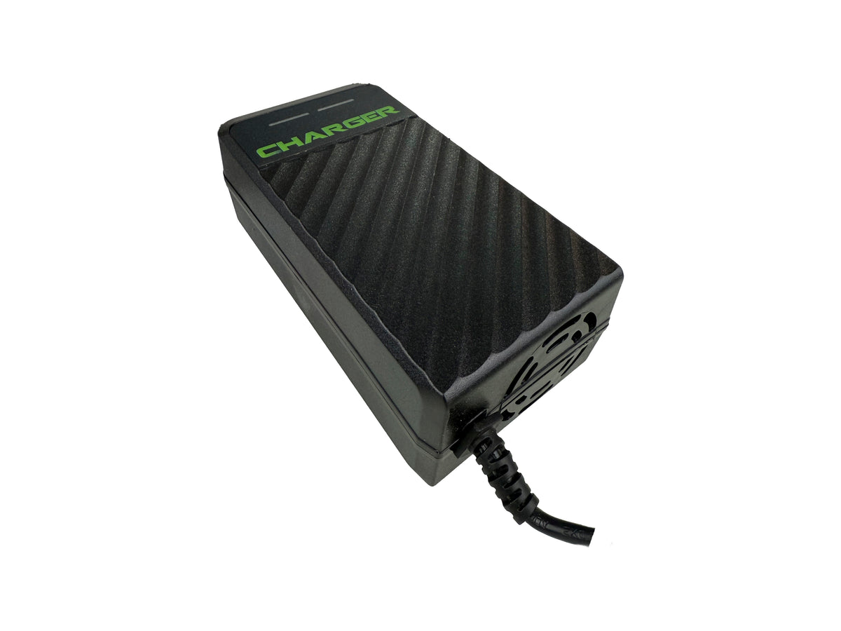 Cargador Para Moto Eléctrica De 60 Voltios 20 Ah