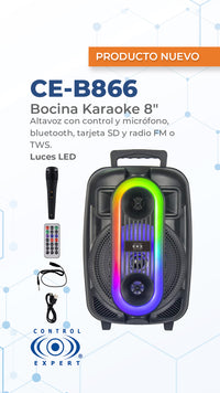 Combo Bocina amplificada 8