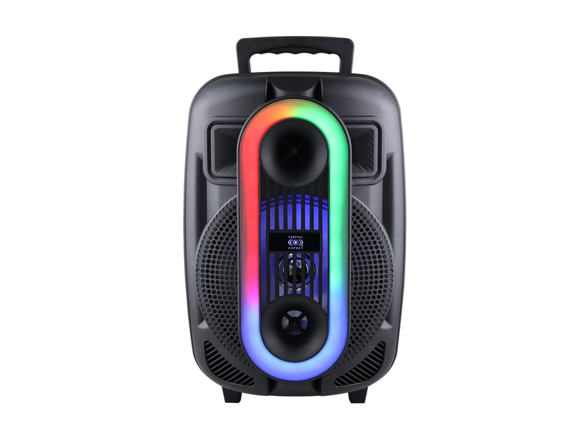 Bocina Amplificada 8 Pulgadas Tws Bluetooth Radio Fm 20w