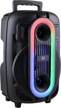 Bocina Amplificada De 8 Pulgadas Tws Usb Radio Fm 20w