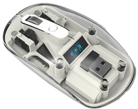 Mouse Inalámbrico Recargable con Receptor USB